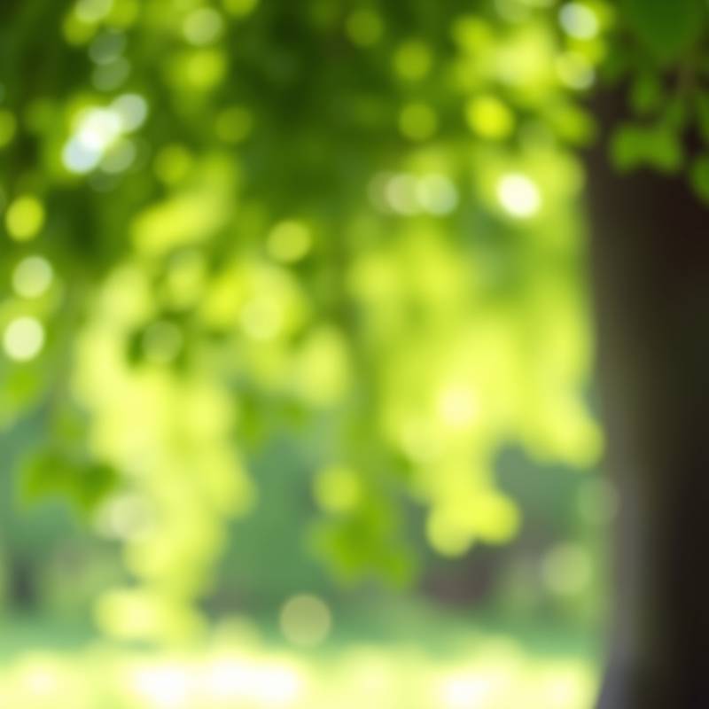 Locación con fondo verde